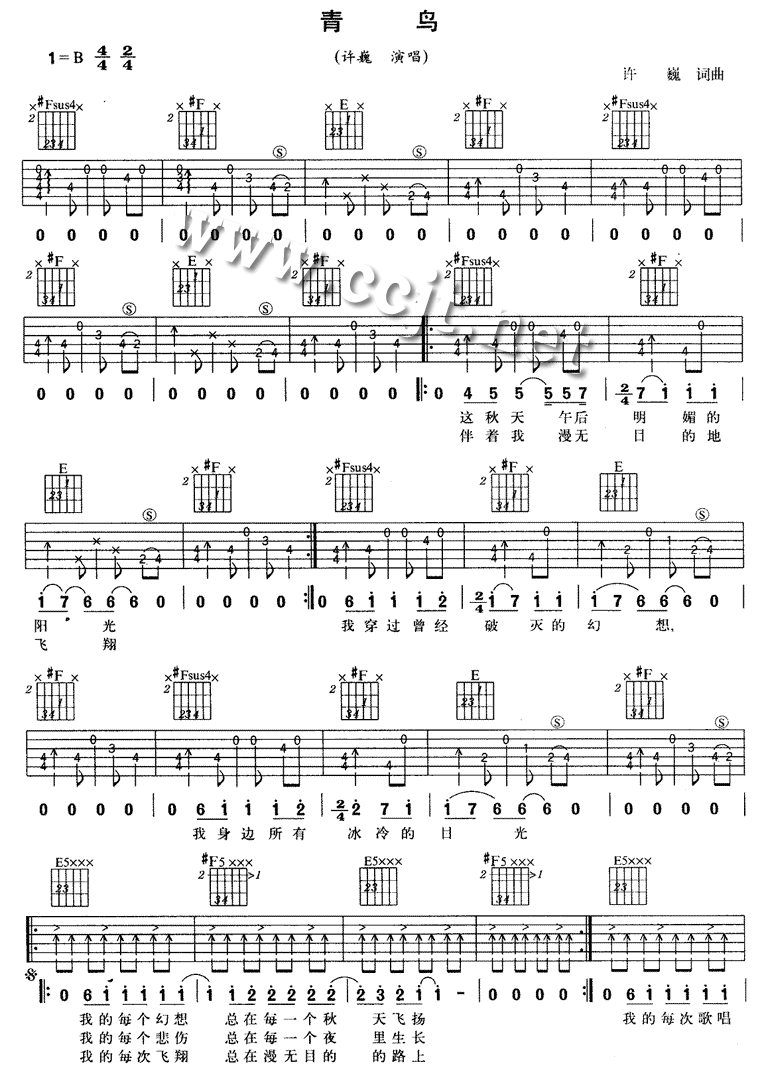 青鸟-虫虫吉他:www.ccguitar.cn