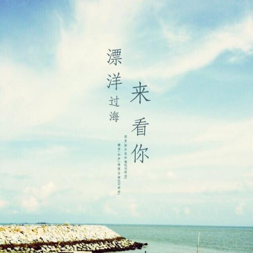 漂洋过海来看你
