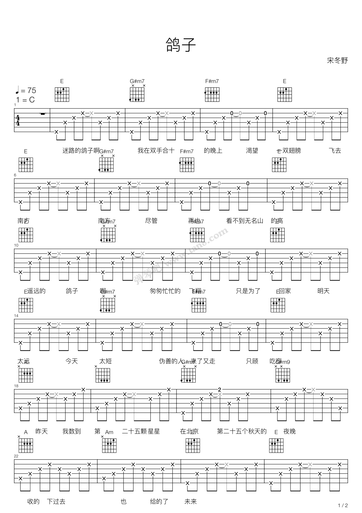 宋冬野 鸽子吉他谱E调 - E调吉他谱大全 - 吉他之家