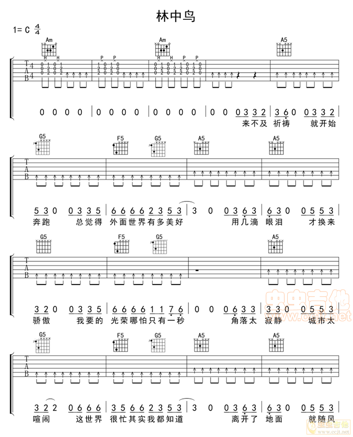 林中鸟吉他谱-弹唱谱-c调-虫虫吉他