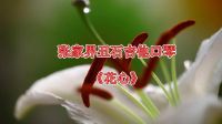 dengxueqi的作品：张家界丑石吉他口琴《花心》