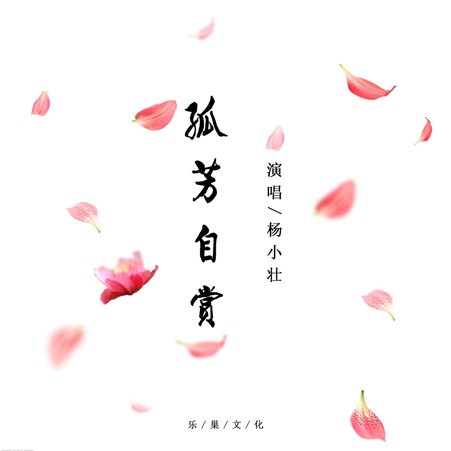 孤芳自赏吉他谱单音