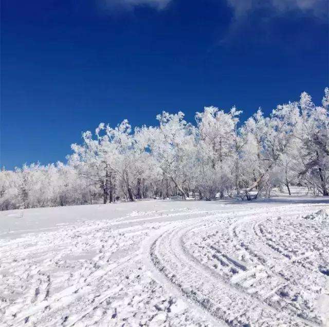 下雪天吉他谱