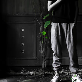 宝贝歌词张悬