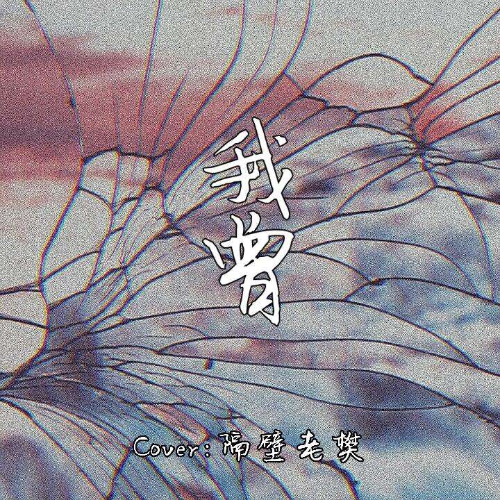 隔壁老樊《我曾》吉他谱