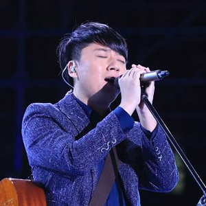 张磊异乡人吉他谱c调