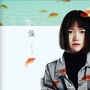 歌曲鱼吉他谱