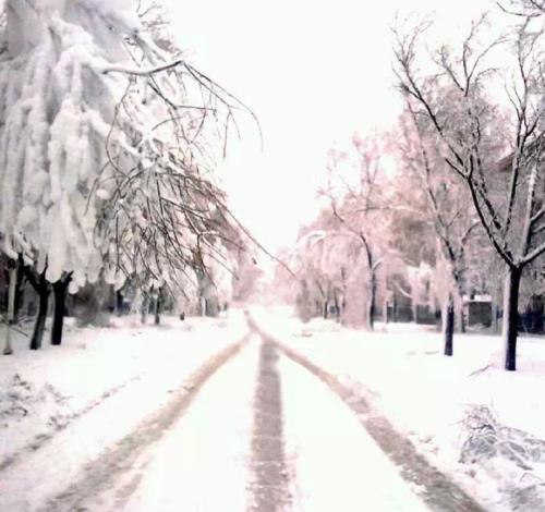 你那里下雪了吗吉他谱
