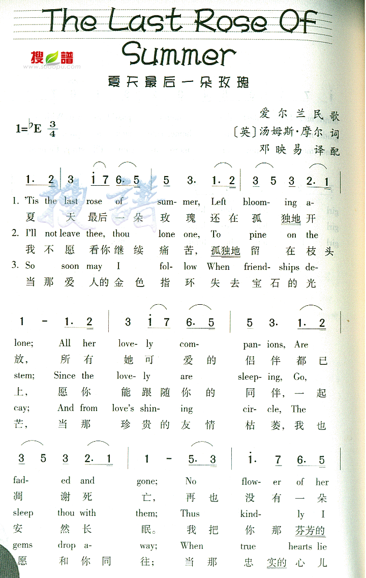 >> >> 未知 >>the last rose of summer